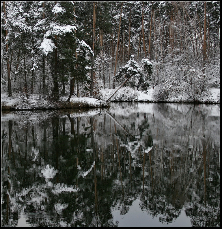 photo "Fairy Tale Forest" tags: landscape, water, winter