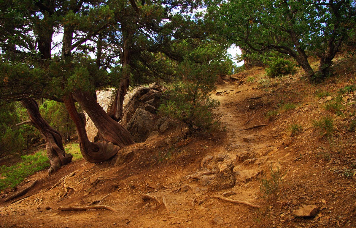 photo "***" tags: landscape, summer