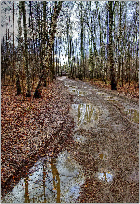 photo "Reflections of late autumn" tags: landscape, autumn, forest