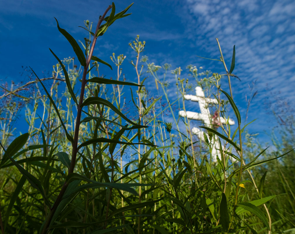 photo "I will return to you as grass" tags: misc., 