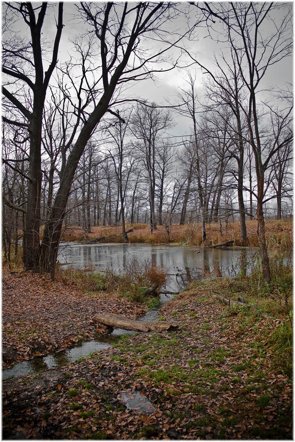 photo "***" tags: landscape, autumn