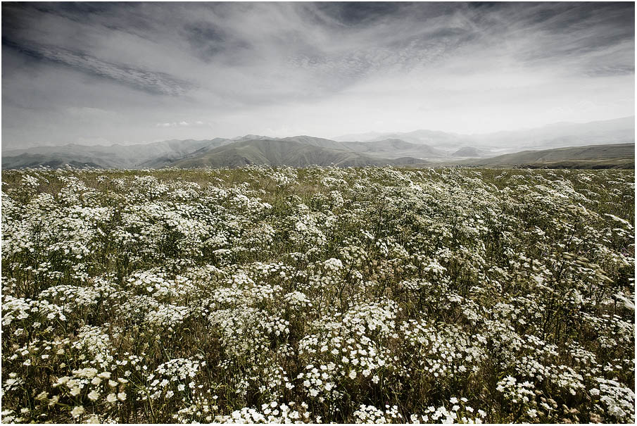 фото "Горная поляна" метки: пейзаж, горы