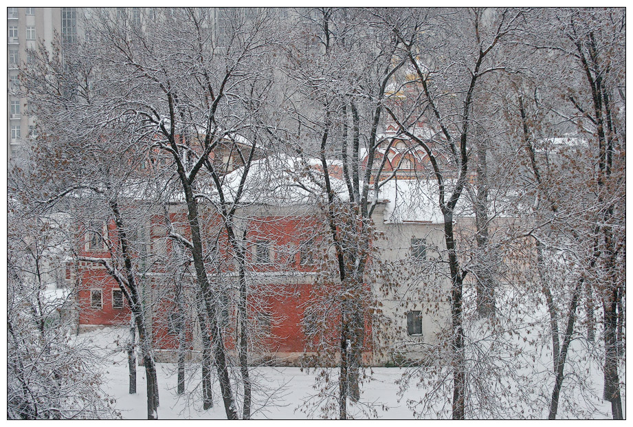 photo "Snowy lace" tags: landscape, city, winter