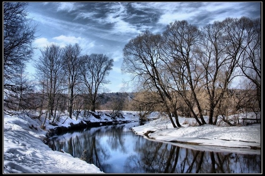 photo "Spring" tags: landscape, forest, spring