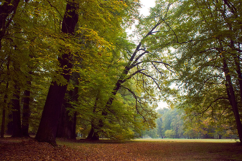 photo "***" tags: landscape, autumn