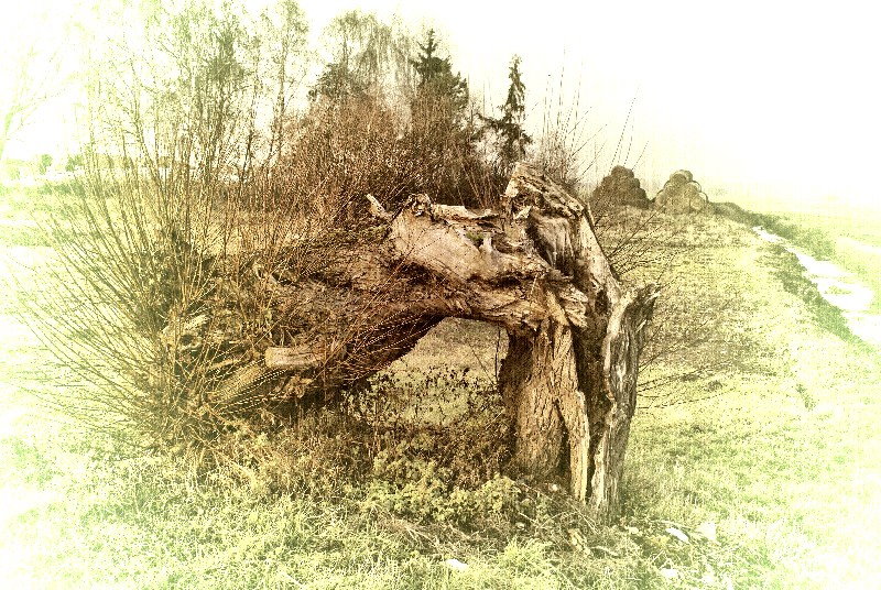 photo "end" tags: landscape, autumn