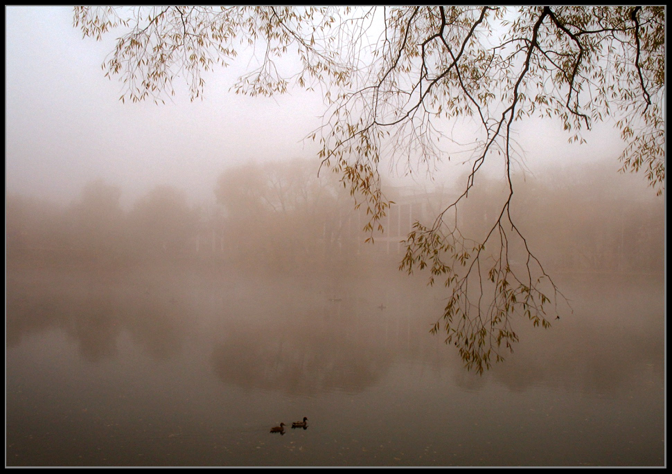 photo "***" tags: landscape, autumn