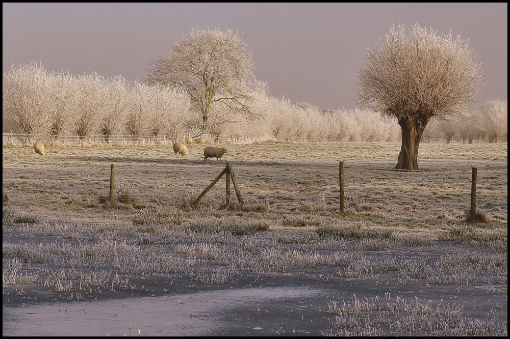 photo "***" tags: landscape, winter