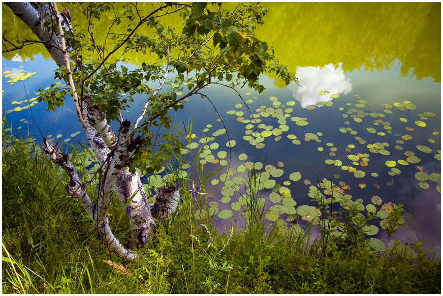 photo "***" tags: landscape, summer, water