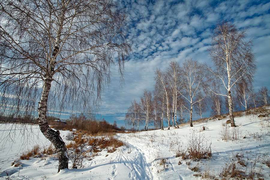 фото "***" метки: пейзаж, зима, облака