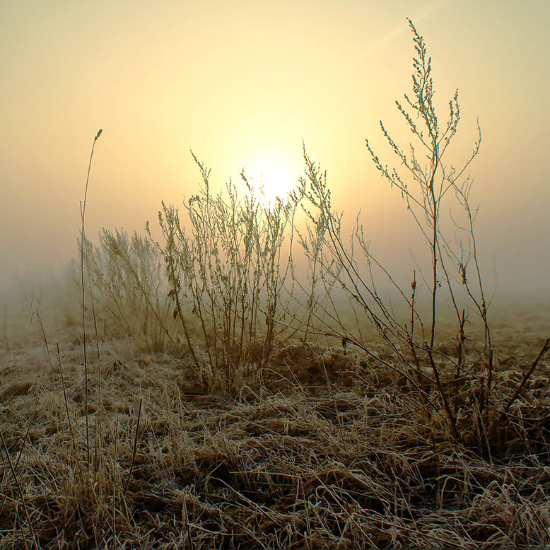 фото "Зоря в тумане" метки: пейзаж, закат