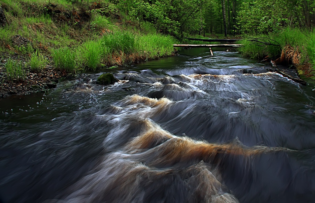 фото "Бурная лесная речка" метки: пейзаж, вода