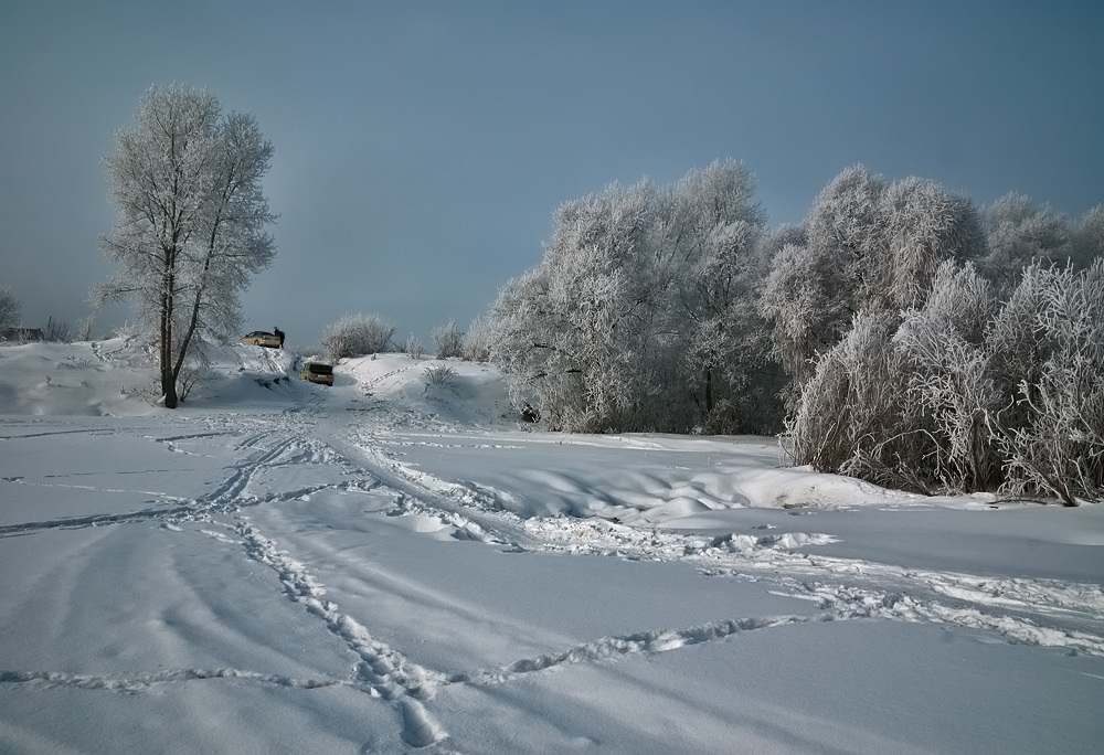 photo "The Problems..." tags: landscape, forest, winter