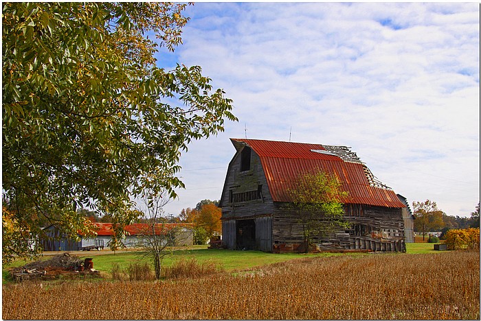 фото "North Carolina" метки: пейзаж, путешествия, Северная Америка, осень