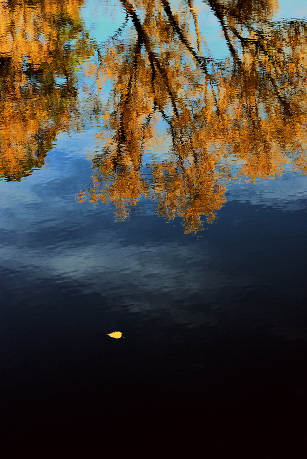 photo "***" tags: landscape, autumn, water