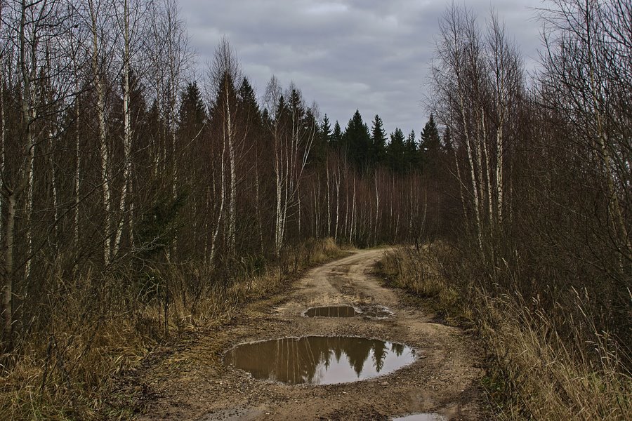 фото "Когда же снег?" метки: , 