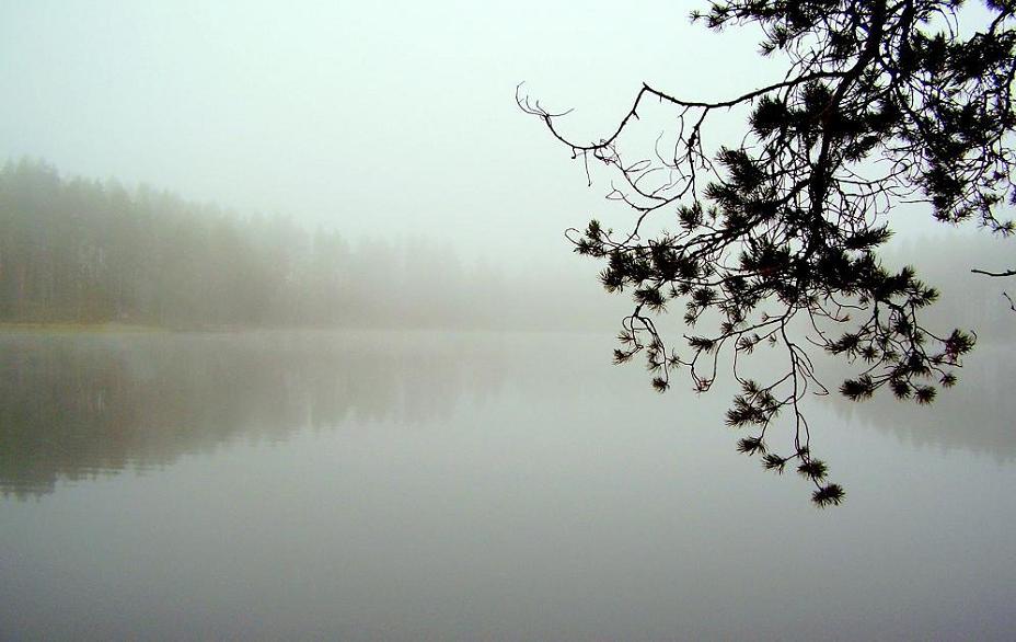 photo "***" tags: , 