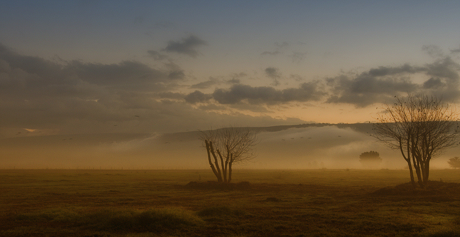 photo "***" tags: landscape, 