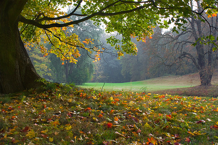 photo "***" tags: landscape, autumn