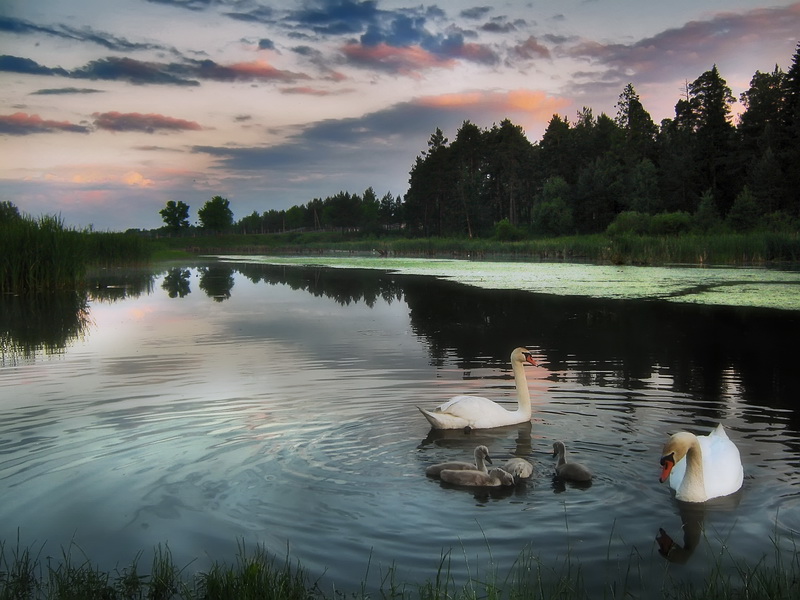 photo "***" tags: landscape, 