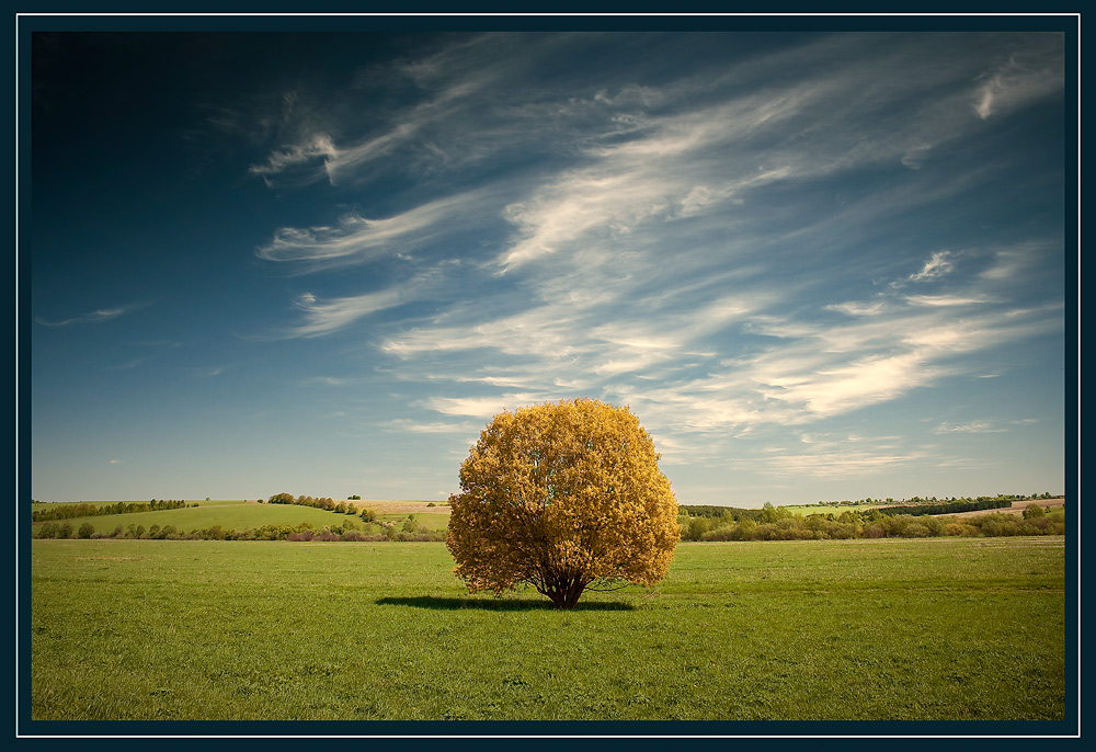 фото "***" метки: пейзаж, 