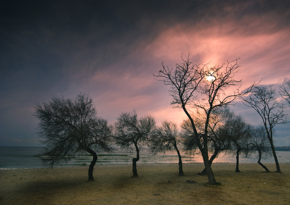 photo "winter sun" tags: landscape, sunset, winter