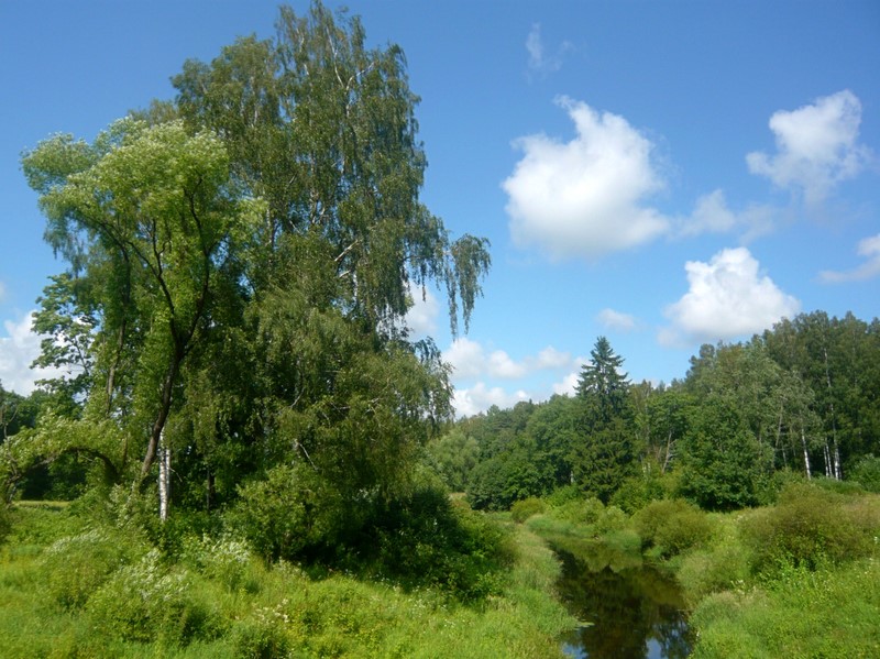 photo "***" tags: landscape, summer, water