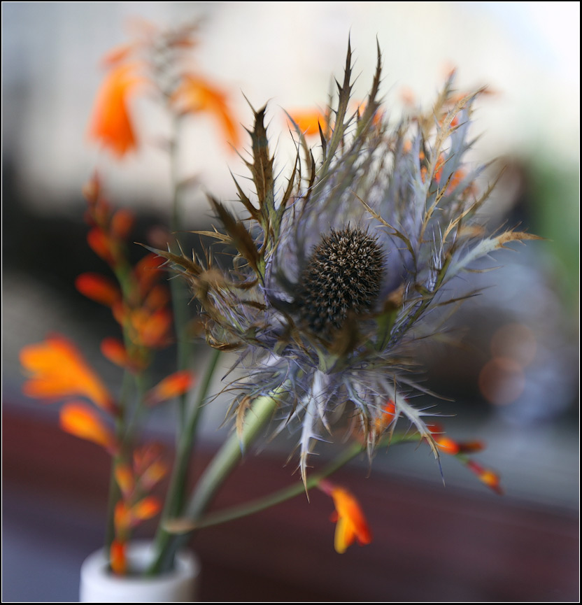 photo "***" tags: nature, still life, flowers