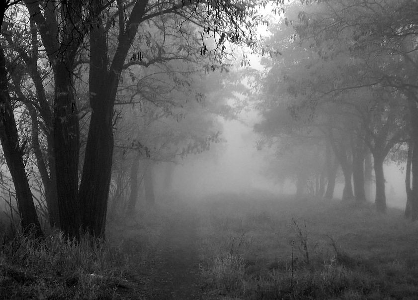 фото "Утро седое" метки: пейзаж, осень