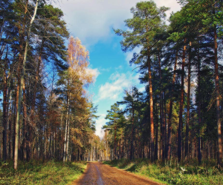 photo "***" tags: landscape, autumn