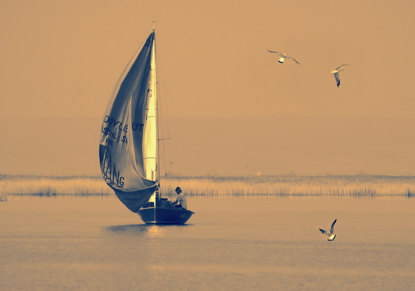 photo "***" tags: genre, 