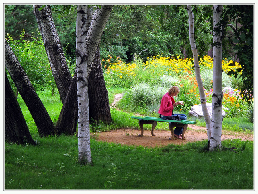 photo "***" tags: landscape, forest, summer