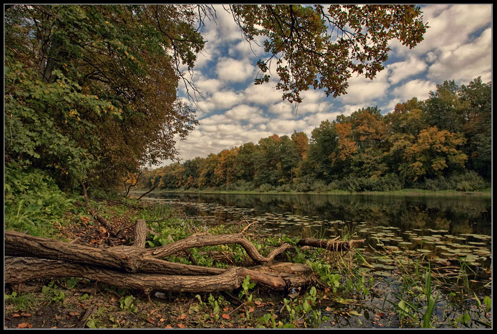 photo "***" tags: landscape, autumn