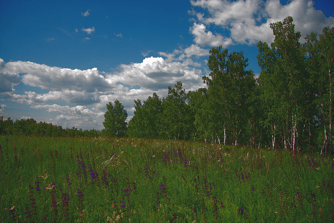 photo "***" tags: landscape, summer
