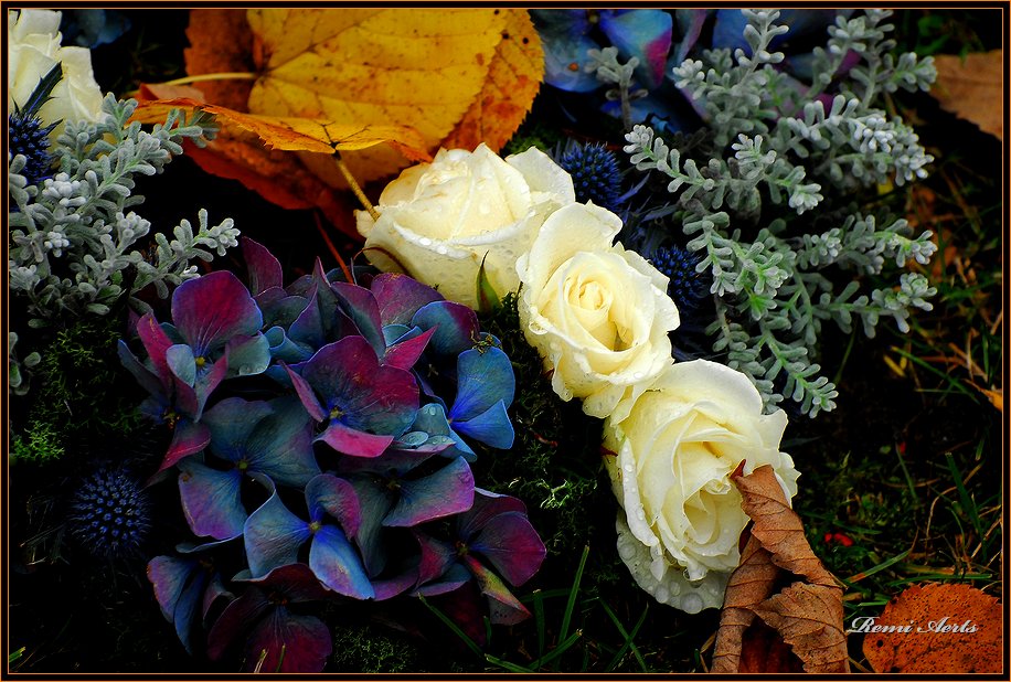 фото "For You Svetlana M." метки: природа, макро и крупный план, цветы