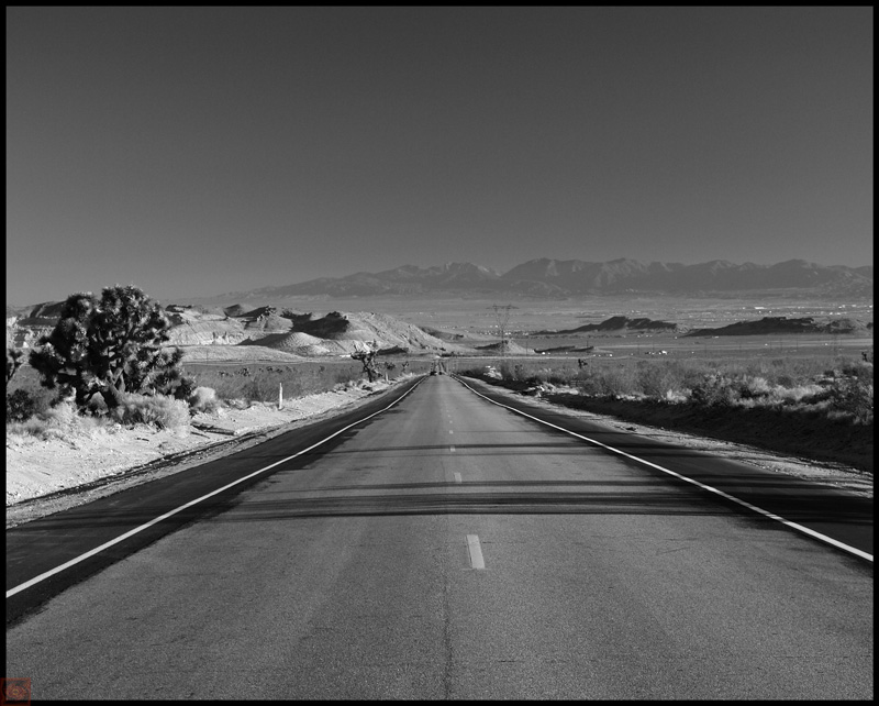 photo "Standing in the Middle of the Road" tags: landscape, black&white, 