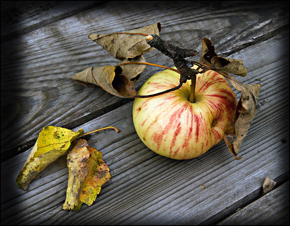 photo "***" tags: still life, 