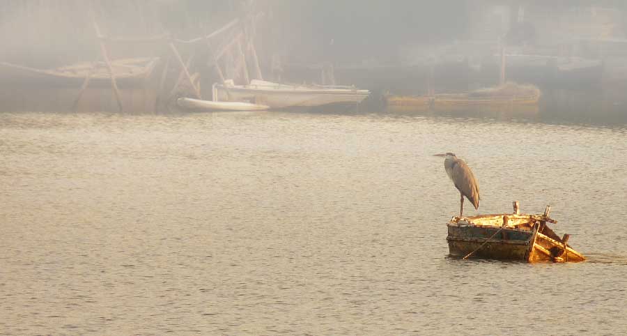 photo "the old man and the sea" tags: landscape, water