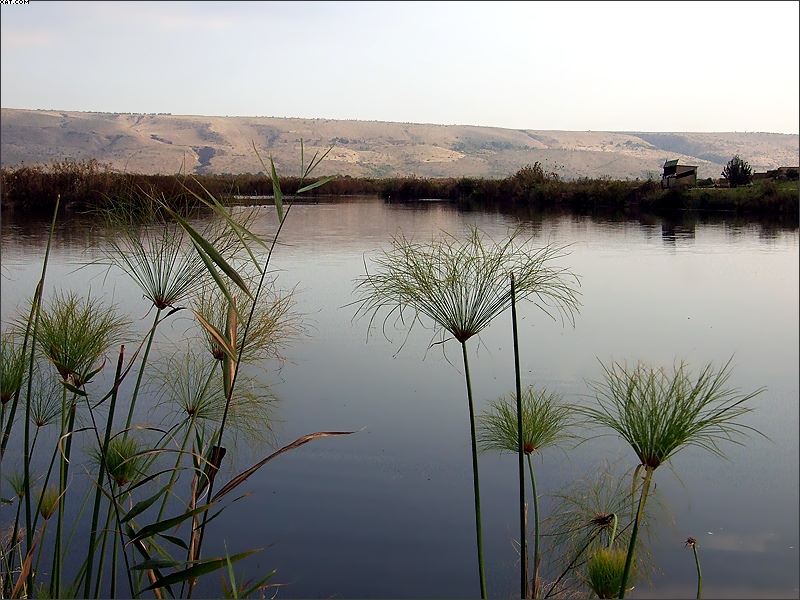 photo "Papirus" tags: landscape, water