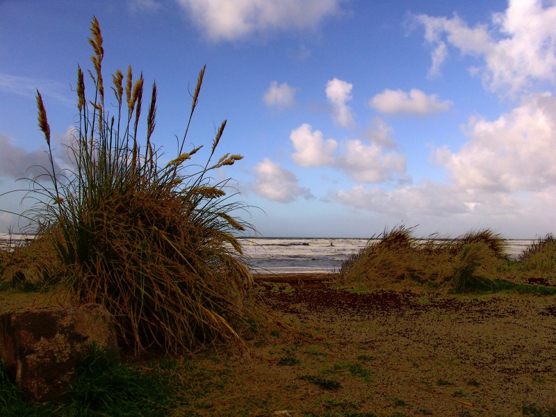 photo "q" tags: landscape, autumn