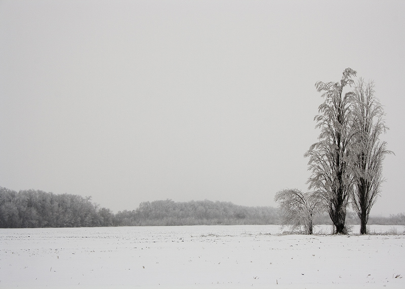 photo "***" tags: landscape, winter