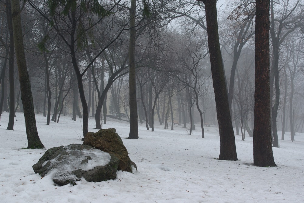 photo "Winter fog" tags: landscape, winter