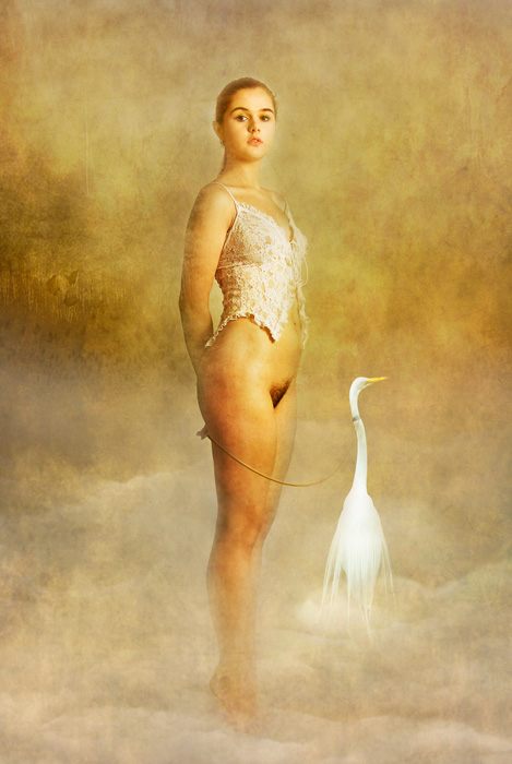 photo "Leda" tags: nude, 