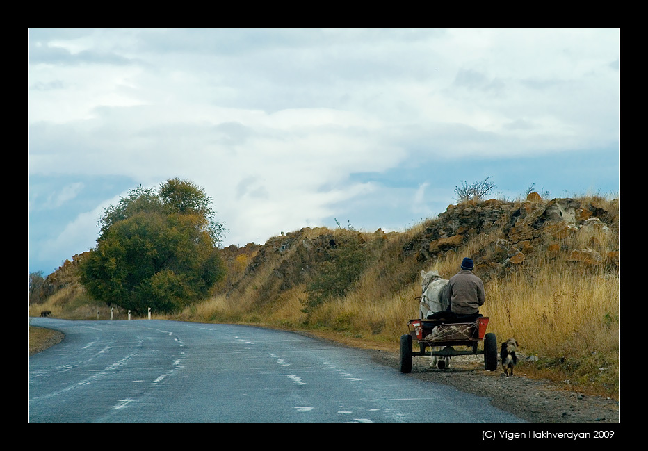 photo "Fellow traveller" tags: travel, 