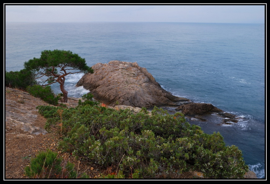 photo "***" tags: landscape, water