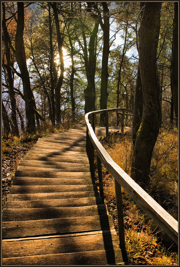 photo "Downstairs" tags: landscape, misc., 