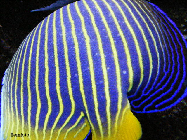 фото "Underwater." метки: пейзаж, вода