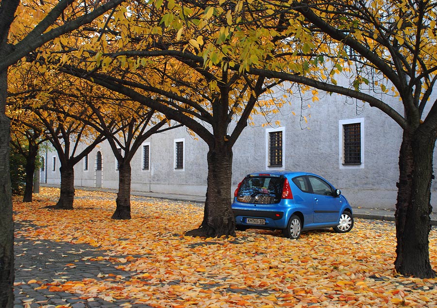 photo "Blue on yellow" tags: travel, landscape, Europe, autumn