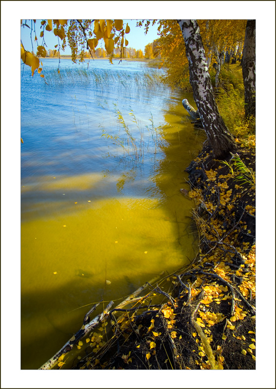 фото "У осени на берегу # 3" метки: пейзаж, фрагмент, вода