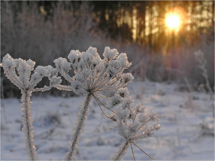 фото "***" метки: пейзаж, зима